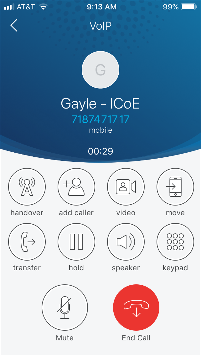 Active Call Screen